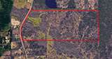 195 ac Fm 149 Rd - Photo 14