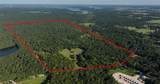 195 ac Fm 149 Rd - Photo 15