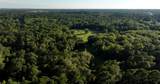 195 ac Fm 149 Rd - Photo 3
