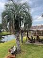 7215 Beau Rue Street - Photo 46