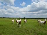 3803 Private 4100 Road - Photo 10