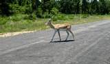 3803 Private 4100 Road - Photo 11