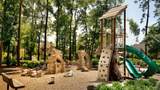 16846 Williams Gully Trail - Photo 5