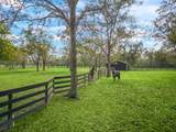 32919 Southern Manors Drive - Photo 4