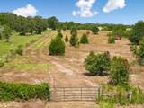 1430 Raymond Lehmann Lane - Photo 4