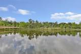 11542 Ward Road - Photo 40