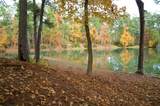 81 Pine Meadow - Photo 13