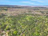 000 Rose Hill Road - Photo 12