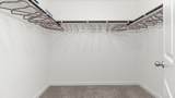 3531 Catbird Lane - Photo 19
