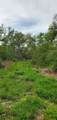 TBD Specklebelly Lane Lot 252 - Photo 20