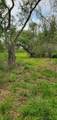 TBD Specklebelly Lane Lot 252 - Photo 21