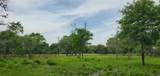 TBD Specklebelly Lane Lot 252 - Photo 25