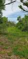 TBD Specklebelly Lane Lot 252 - Photo 8