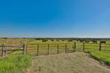 Tract #7 Cr 305 Road - Photo 5