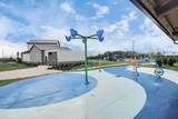 10303 Rose Mar Drive - Photo 43