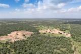 54.68 acres Cattle Guard Road - Photo 34