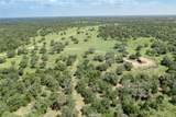54.68 acres Cattle Guard Road - Photo 47