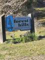 Lot 427 Echo Hills Lane - Photo 6