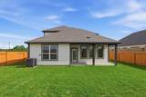 23102 Dadi Orchid Drive - Photo 24
