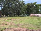 TBD County Road 48 Airline Road - Photo 6