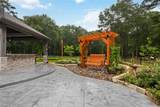 24015 Pack Saddle Trail - Photo 41