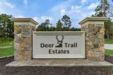 12328 Chestnut Hills Drive - Photo 44