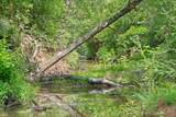 TBD (Tracts 11 & 12) St Delight Road - Photo 36