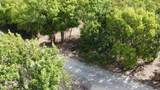 1.5+/- Acres Greenbriar Road - Photo 10