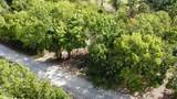 1.5+/- Acres Greenbriar Road - Photo 11