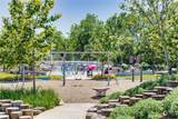 11255 Tropical Forest Way - Photo 43