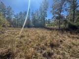 690 Jim Fenley Loop - Photo 3
