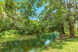 133 Dewberry Drive - Photo 49
