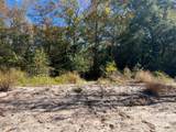31517 Bohlssen Road - Photo 17
