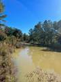 31517 Bohlssen Road - Photo 2