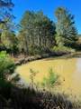 31517 Bohlssen Road - Photo 3