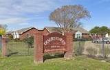 2250 15th St - Photo 2