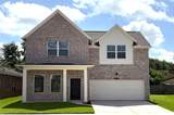 3514 Talia Wood Court - Photo 1