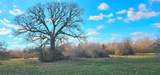 tbd Davis Road - Photo 1
