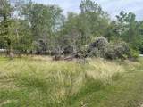 TBD Forest Cove Loop - Photo 4