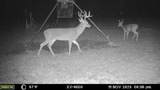 TBD West Caney Road - Photo 3