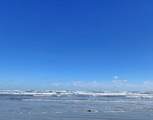 12119 Bluewater Hwy Cr 257 Highway - Photo 12