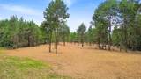 TBD Big Woods Road - Photo 6