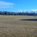 9035 Tumblewood Drive - Photo 1