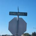 9035 Tumblewood Drive - Photo 5