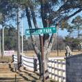 9035 Tumblewood Drive - Photo 6