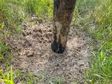 1100 County Road 2306 - Photo 42