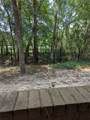 3500 Tangle Brush Drive - Photo 10