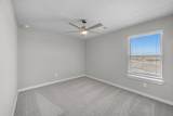 2129 Sunflower View Street - Photo 21