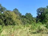 000 County Road 137 - Photo 19