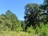 000 County Road 137 - Photo 21